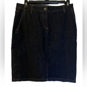 Ann Taylor Jean Skirt